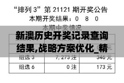 新澳历史开奖记录查询结果,战略方案优化_精简版1.751