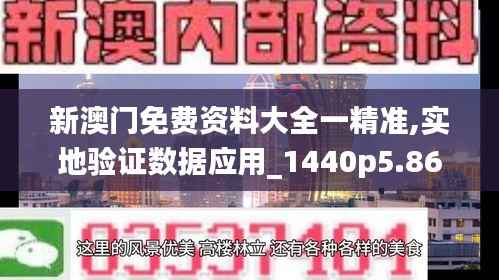 新澳门免费资料大全一精准,实地验证数据应用_1440p5.866
