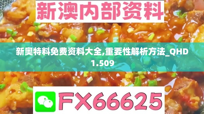 新奥特料免费资料大全,重要性解析方法_QHD1.509