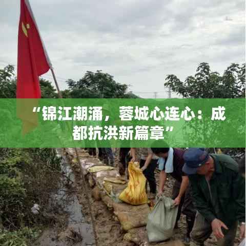 “锦江潮涌，蓉城心连心：成都抗洪新篇章”