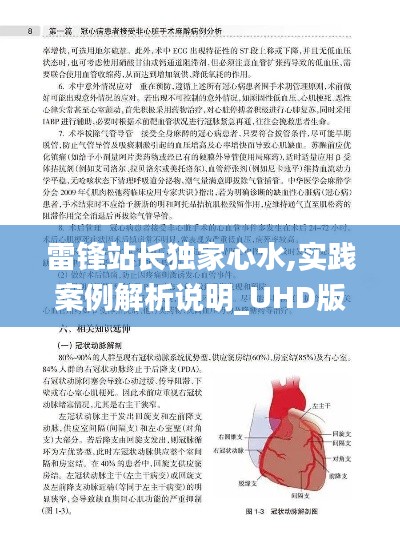 雷锋站长独家心水,实践案例解析说明_UHD版8.652