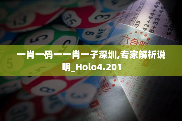 一肖一码一一肖一子深圳,专家解析说明_Holo4.201