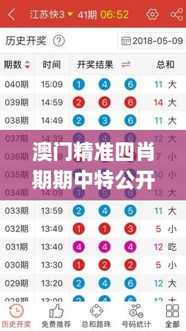 澳门精准四肖期期中特公开,数据导向执行解析_工具版9.133