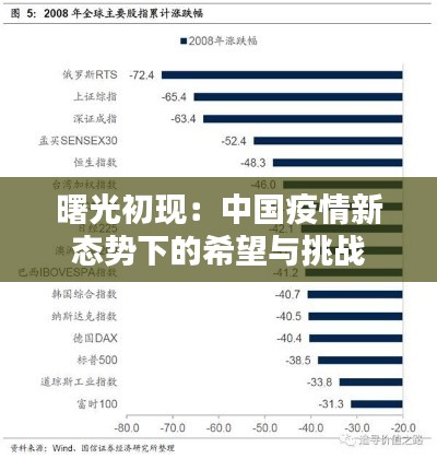 曙光初现:中国疫情新态势下的希望与挑战