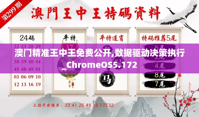 澳门精准王中王免费公开,数据驱动决策执行_ChromeOS5.172