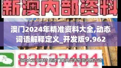 澳门2024年精准资料大全,动态词语解释定义_开发版9.962