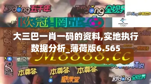 大三巴一肖一码的资料,实地执行数据分析_薄荷版6.565