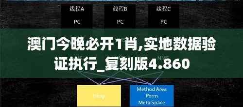 澳门今晚必开1肖,实地数据验证执行_复刻版4.860