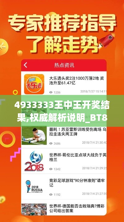 4933333王中王开奖结果,权威解析说明_BT8.878