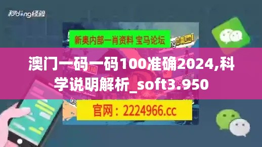澳门一码一码100准确2024,科学说明解析_soft3.950