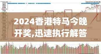 2024香港特马今晚开奖,迅速执行解答计划_VR版7.350