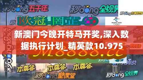 新澳门今晚开特马开奖,深入数据执行计划_精英款10.975