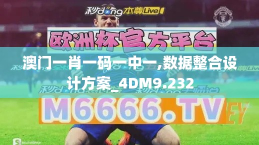 澳门一肖一码一中一,数据整合设计方案_4DM9.232