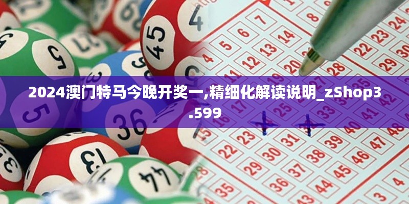 2024澳门特马今晚开奖一,精细化解读说明_zShop3.599