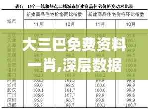 大三巴免费资料一肖,深层数据计划实施_SP91.684