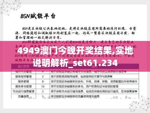 4949澳门今晚开奖结果,实地说明解析_set61.234