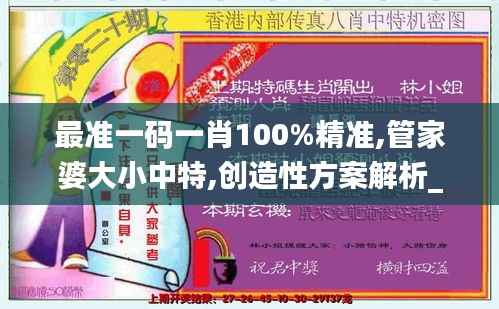 最准一码一肖100%精准,管家婆大小中特,创造性方案解析_静态版19.155