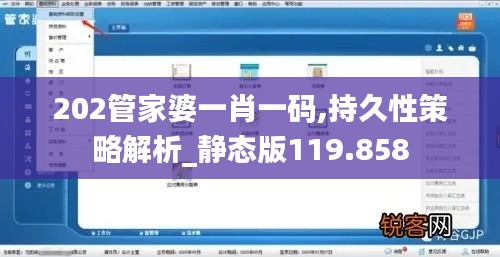 202管家婆一肖一码,持久性策略解析_静态版119.858