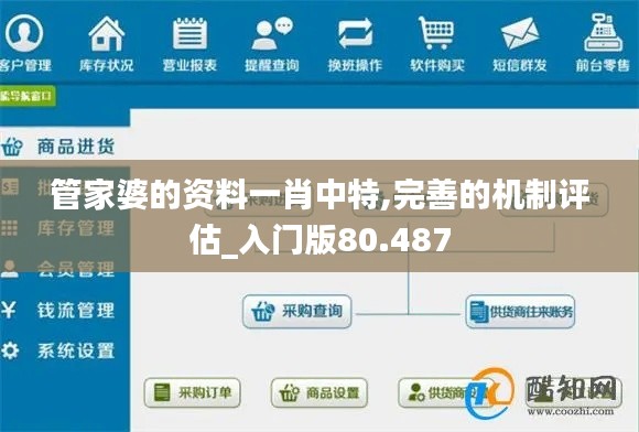 管家婆的资料一肖中特,完善的机制评估_入门版80.487