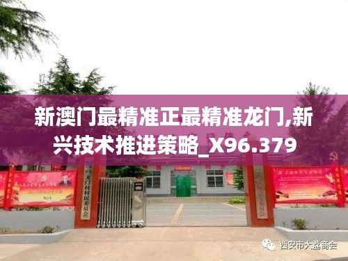 新澳门最精准正最精准龙门,新兴技术推进策略_X96.379