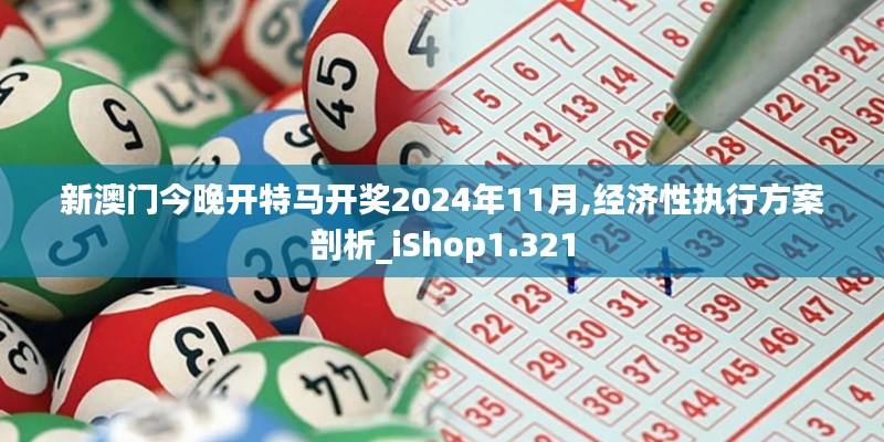 新澳门今晚开特马开奖2024年11月,经济性执行方案剖析_iShop1.321