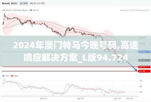 2024年澳门特马今晚号码,高速响应解决方案_L版94.724