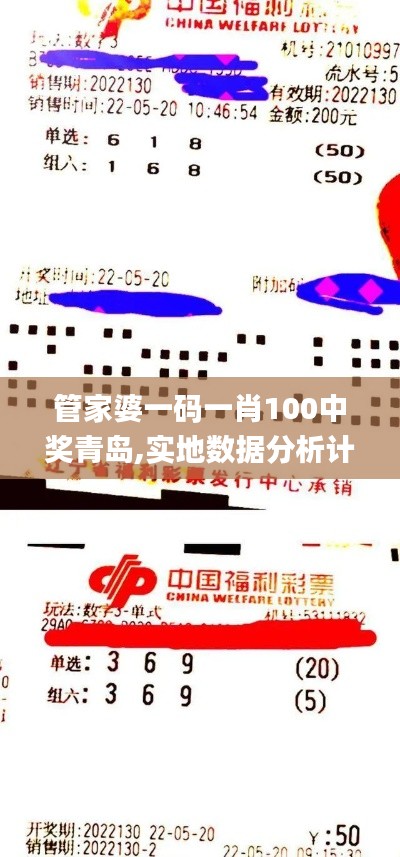管家婆一码一肖100中奖青岛,实地数据分析计划_6DM21.520