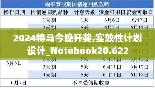 2024特马今晚开奖,实效性计划设计_Notebook20.622