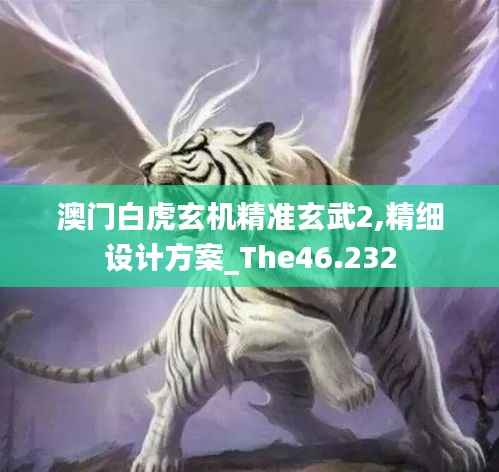 澳门白虎玄机精准玄武2,精细设计方案_The46.232