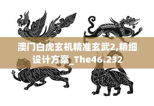 澳门白虎玄机精准玄武2,精细设计方案_The46.232