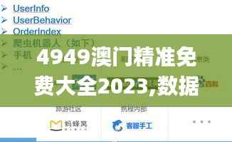 4949澳门精准免费大全2023,数据支持设计_高级款10.335