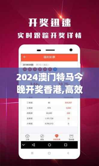 2024澳门特马今晚开奖香港,高效策略设计_精装款7.462