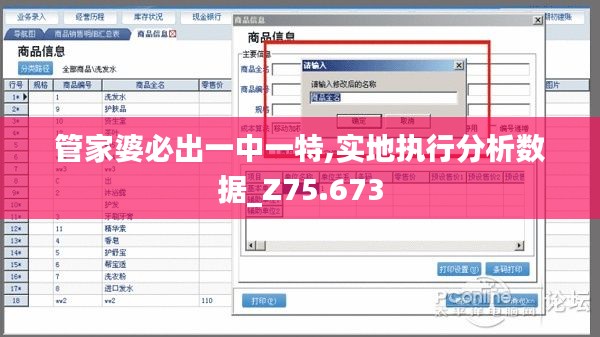 管家婆必出一中一特,实地执行分析数据_Z75.673