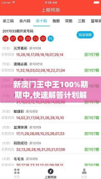 新澳门王中王100%期期中,快速解答计划解析_专业款167.571