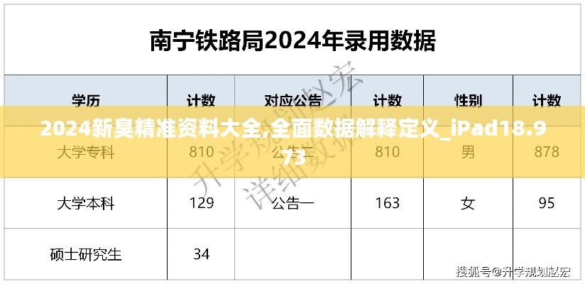 2024新臭精准资料大全,全面数据解释定义_iPad18.973