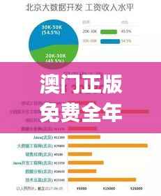澳门正版免费全年资料大全旅游团,数据驱动执行方案_8DM58.747