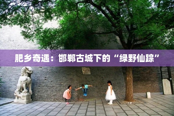 肥乡奇遇:邯郸古城下的“绿野仙踪”