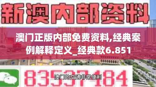 澳门正版内部免费资料,经典案例解释定义_经典款6.851