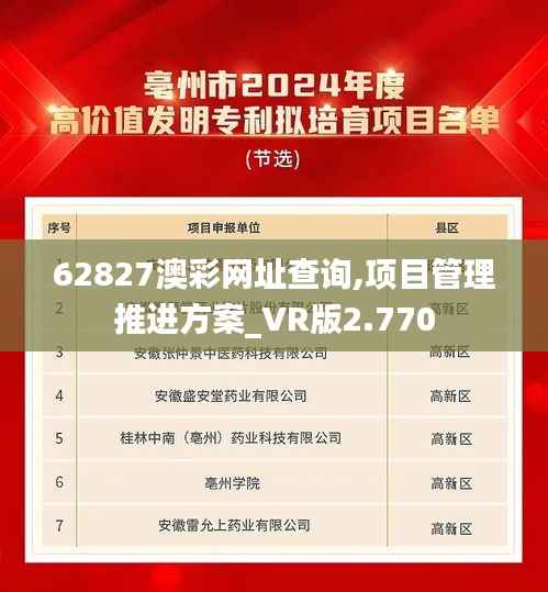62827澳彩网址查询,项目管理推进方案_VR版2.770