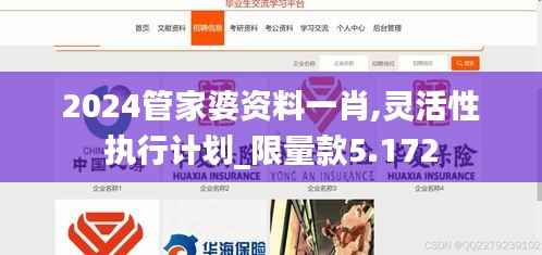 2024管家婆资料一肖,灵活性执行计划_限量款5.172