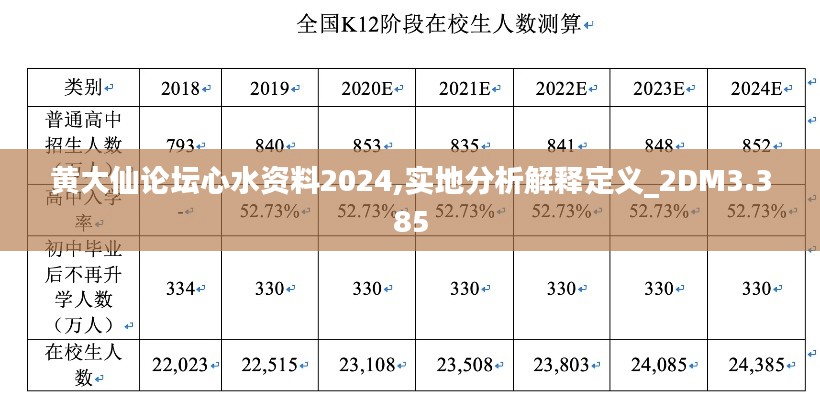 黄大仙论坛心水资料2024,实地分析解释定义_2DM3.385