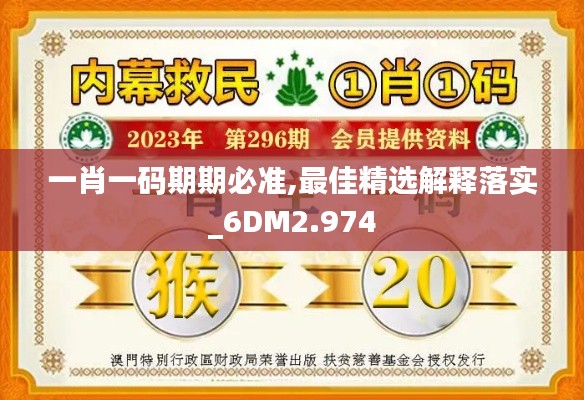 一肖一码期期必准,最佳精选解释落实_6DM2.974