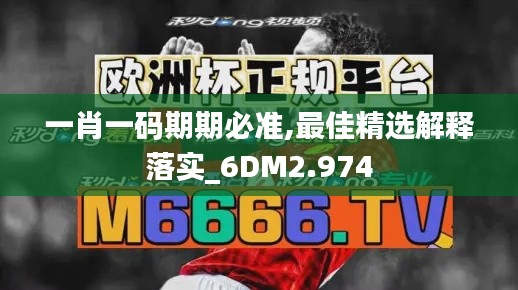 一肖一码期期必准,最佳精选解释落实_6DM2.974