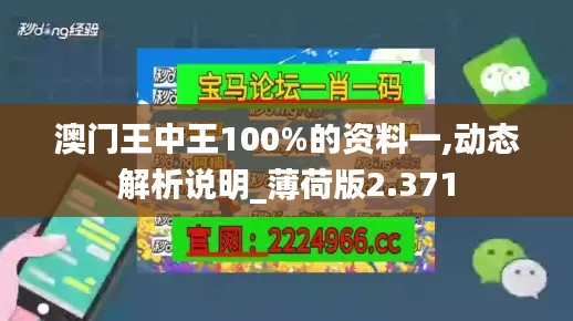澳门王中王100%的资料一,动态解析说明_薄荷版2.371
