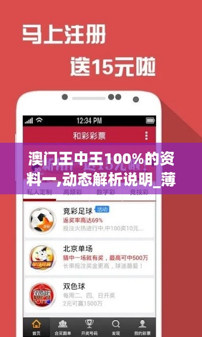 澳门王中王100%的资料一,动态解析说明_薄荷版2.371