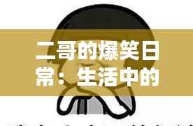 二哥的爆笑日常:生活中的“笑果”制造机