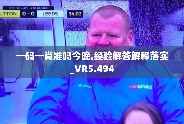 一码一肖准吗今晚,经验解答解释落实_VR5.494