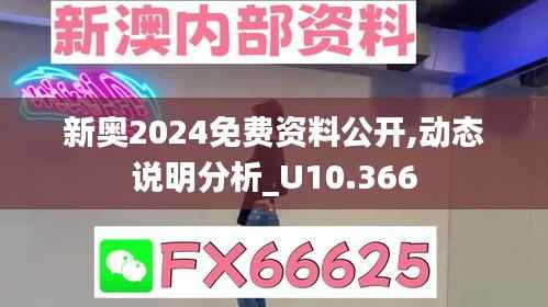 新奥2024免费资料公开,动态说明分析_U10.366