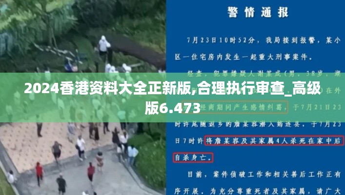 2024香港资料大全正新版,合理执行审查_高级版6.473