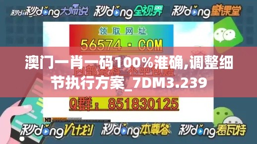 澳门一肖一码100%淮确,调整细节执行方案_7DM3.239